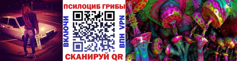 купить наркоту Губкинский Псилоцибиновые грибы Psilocybe